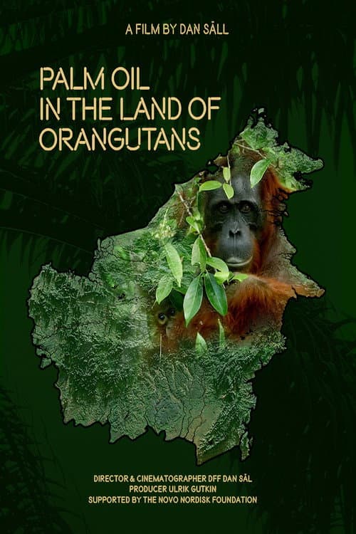 Palm Oil in the Land of Orangutans