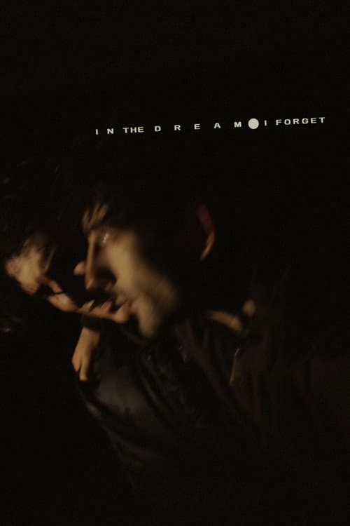 In the Dream I Forget