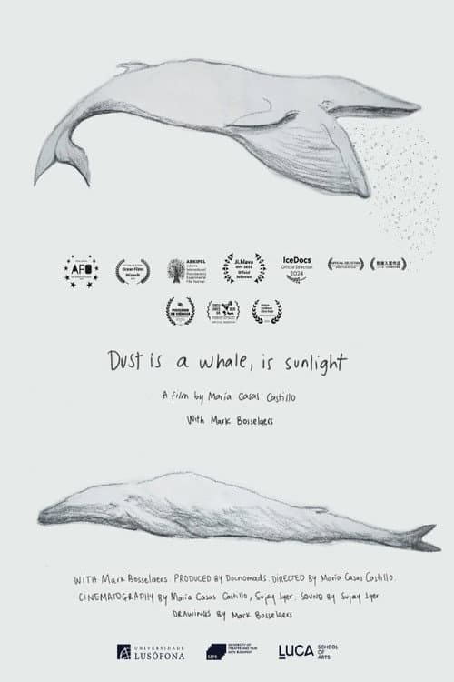 Dust is a Whale, is Sunlight