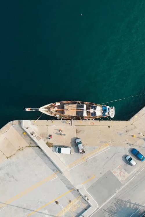 Saving the Hidden Coral of the Mediterranean