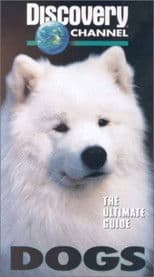 The Ultimate Guide - Dogs