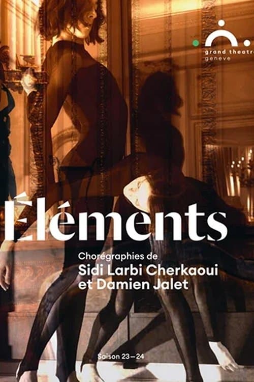 Elements Sidi Larbi Cherkaoui with Damien Jalet and Marina Abramovic